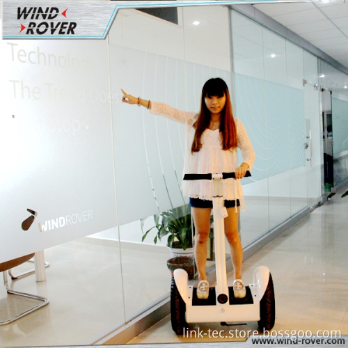 Best Selling Wind Rover V4 Electric Bike Two Wheel Electric Scooter Self Balancing Scooter
